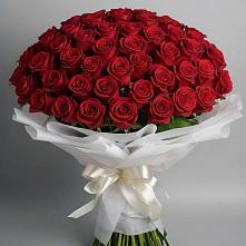 Букет 101 Красная роза Блэк Мэджик в Новое ступино
