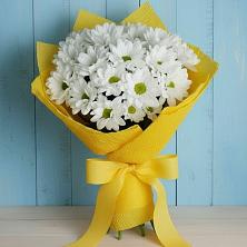 Букет цветов из:  Хризантемы в Новое ступино