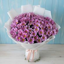 Букет цветов из:  Хризантемы в Новое ступино