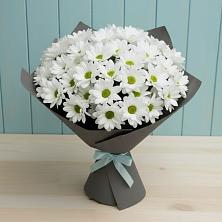 Букет цветов из:  Хризантемы в Новое ступино