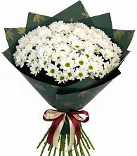 Букет цветов из:  Хризантемы в Новое ступино