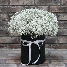 Цветочная композиция из Гипсофила в шляпной коробке #REPLACE_PRED# Новое ступино