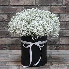 Цветочная композиция из Гипсофила в шляпной коробке в Новое ступино