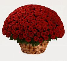 Премиум букет из: Розы #REPLACE_PRED# Новое ступино