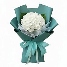 Букет цветов из:  Гортензия в Новое ступино